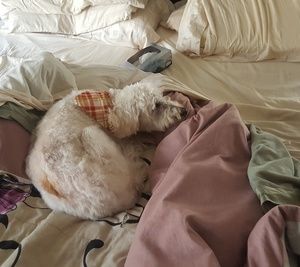 Meet your Posher, Anthony